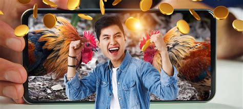 Sabong Decoded: Mastering Odds, Betting Options & Payouts.